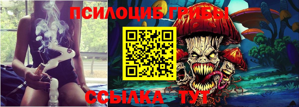 Галлюциногенные грибы Cubensis  Вход с VPN  Саранск 