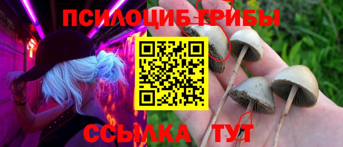 Галлюциногенные грибы прущие грибы Саранск